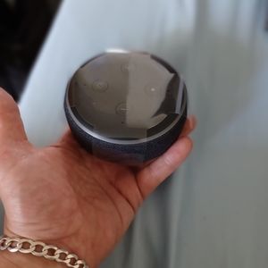 Alexia echo dot